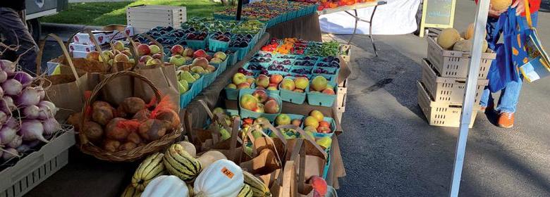 farmers' market stall filled with a large variety of very colorful vegetables